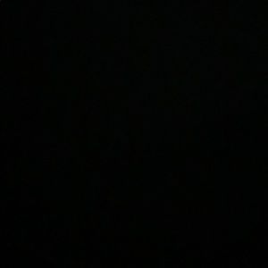 Meet your Posher, Latorya